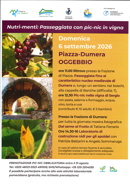 Nutri-menti: Passeggiata con pic-nic in vigna