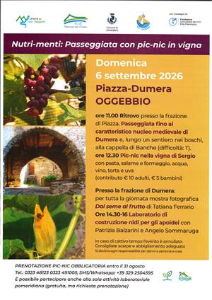 Nutri-menti: Passeggiata con pic-nic in vigna