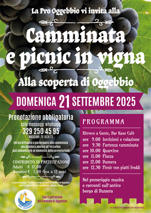 Camminata e picnic in vigna